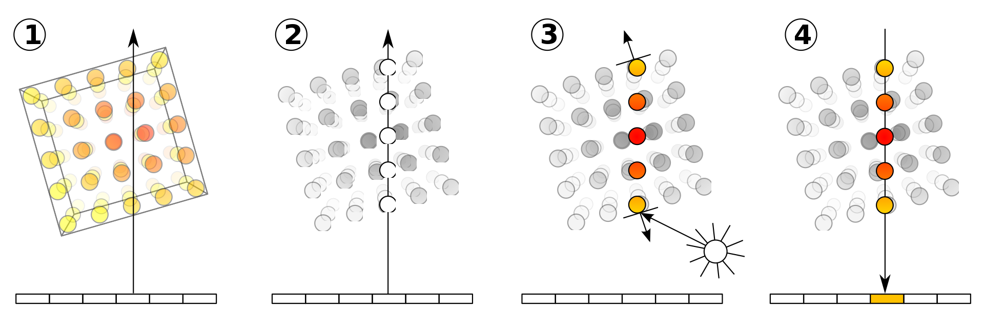 Diagram of the four ray-marching steps: ray casting, sampling, coloring via transfer function, composition